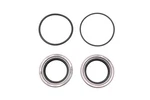 Aqua Power 1024, 26-76868A1 Seal Kit. Fixed Price $26.99.