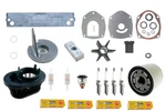 Maintenance Service Kit For Mercury 75HP 80HP 90HP 100HP 115HP Efi 4-STROKE. Fixed Price $239.49.