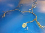 0384051 Harness Yy Wire Wiring 85HP Johnson Evinrude 100HP (a 4F). Fixed Price $31.55.