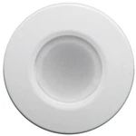 Lumitec Orbit Flush Mount Down Dimmable Light White/blue 112521. Fixed Price $178.07.