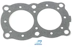 Head Gasket For Evinrude Johnson Omc 203130 18-3841-2 3HP 4HP 4.5HP Outboards. Fixed Price $12.49.