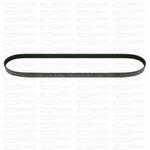 Volvo Penta TAMD63 TAMD73 Serpentine Drive Belt Water Pump Replaces 866653 16653. Fixed Price $47.50.