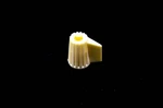 Omc 204701 Carburetor Knob Nos. Fixed Price $21.39.