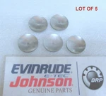 T30 Evinrude Johnson Omc 308679 Expansion Plug Lot Of 5 Oem New Boat Parts. Fixed Price $16.88.