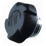 Seastar Solutions HA5432 Non- Vent Cap. Fixed Price $24.73.