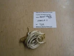 47341A11 Mercury 1995 40HP Elpto Outboard Manual Starter Rope T69. Fixed Price $11.99.