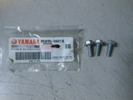 Nos Yamaha Oem Bolt 92-97 C40 98-99 F25 90-93 L250 91-95 P60 95895-06016 Qty. Fixed Price $11.98.
