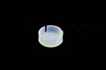 Omc 308055 Trunion Cap Nos. Fixed Price $8.99.