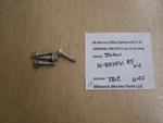 10-821291 Mercury 2006 90HP Optimax Dfi Screws (4) 6X25 T162. Fixed Price $12.99.