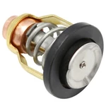 825212001 825212T02 855676003 855676A1 Boat Motor Thermostat For Mercury. Fixed Price $14.24.