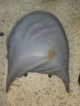 2003 Yamaha Waverunner FX140 Rear Back F1BU372C00 Seat. ADD$100 For New Cover!. Fixed Price $69.00.
