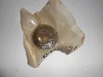 43-45227A5 New Genuine Oem Mercury Outboard Gear Lot B7-1. Fixed Price $49.99.