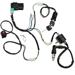 Laxeem Wire Harness Wiring Loom Cdi Ignition Coil Spark Plug Rebuild Kit For .... Fixed Price $35.40.