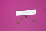 Five (5) Omc Evinrude Johnson Screws. Part 301858.. Fixed Price $5.00.
