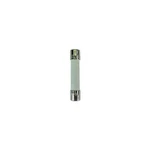 Kohler Fuse 10A 250V #223316. Fixed Price $6.26.