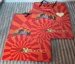 Nos Vtg 2000 Winterland Nsync Gift Party Bags Justin Jc Chris Joey Lance 10X12. Fixed Price $14.99.