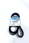 -new- Mercury Quicksilver 57-8M0088876, Serpentine Belt, Oem. Fixed Price $35.99.