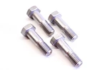 Kodiak BHS1011175 Bolt Qty 4 Nos. Fixed Price $19.99.