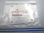 New Oem Yamaha 68V-44323-00-00 Water Pump Plate 0810. Fixed Price $14.50.
