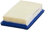 Cummins Nw Onan A030Y328 Air Filter. Fixed Price $35.97.