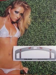 + Trim Polaris Mfd Multi Function Display Replacement Decal Slt Slh Slx Gauge. Fixed Price $14.75.