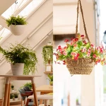 50 Pack Ceiling Hooks, 1-1/4 Inch Vinyl Coated Screw-in Hanging Plants .... Fixed Price $21.57.