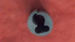 Johnson Evinrude Omc 340205 Rubber Grommet. Fixed Price $12.95.