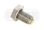 Classic Mini Magnetic Drain Engine Protection DAM7335 DP1 Goldplug AP-17. Fixed Price $24.00.