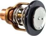 17670-98L00-000 Suzuki Thermostat Comp,water 1767098L00000, New Genuine Oem Part. Fixed Price $155.93.