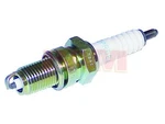 Mercury Outboard 33-827858Q Ngk DPR6EA-9 Spark Plug*. Fixed Price $9.00.