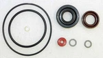 Wsm Lower Unit Seal Kit Chrysler 55 Hp 79-80 18-2630, FK1060. Fixed Price $14.97.