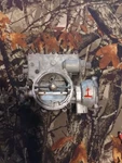 7040082 Carburetor Bbl Omc Ect.... Fixed Price $100.00.