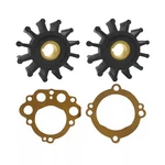 Impeller Repair Kit For Sherwood Sea Water Pump L9910G Chris Craft 9924 Marine. Fixed Price $42.99.