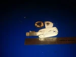 FA628073 F474073-1? Clamp Screw 817958A6 Chrysler 70HP 707HF Force Marine. Fixed Price $33.00.