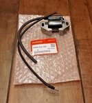 Honda Ignition Coil EU3000IS1 30500-ZL0-D32 Genuine Oem. Fixed Price $104.45.