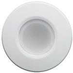 Lumitec Orbit Flush Mount Down Light 2-COLOR Blue/white Dimming 112521. Fixed Price $127.49.
