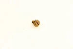Omc 510193 Screw Nos. Fixed Price $9.23.