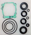 Wsm Lower Unit Seal Kit Johnson 90 115 Hp 4-STROKE 446-153, 18-8373. Fixed Price $32.97.
