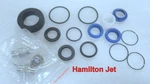 B54 Hamilton Jet 112516 Reverse Cylinder Seal Kit MK2 HJ292/322 Oem Boat Parts. Fixed Price $111.78.