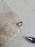 Genuine Suzuki 16710-87E10 Obsolete Check Valve Nos Oem SUZ6. Fixed Price $56.00.